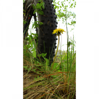 Fatbike pyörävuokra 1 pv